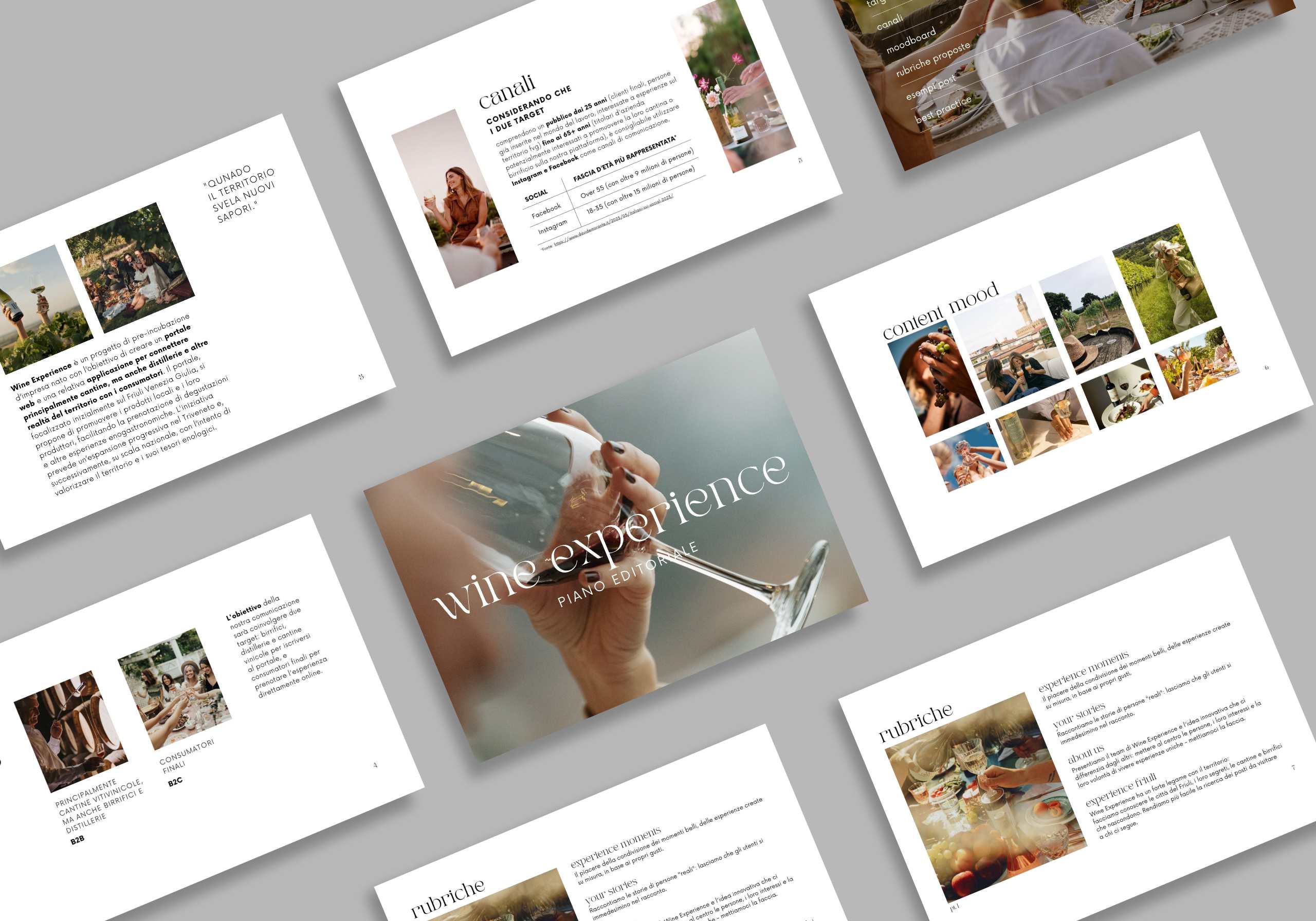 wine-eperience-ped-sanja-todorovic-potfolio