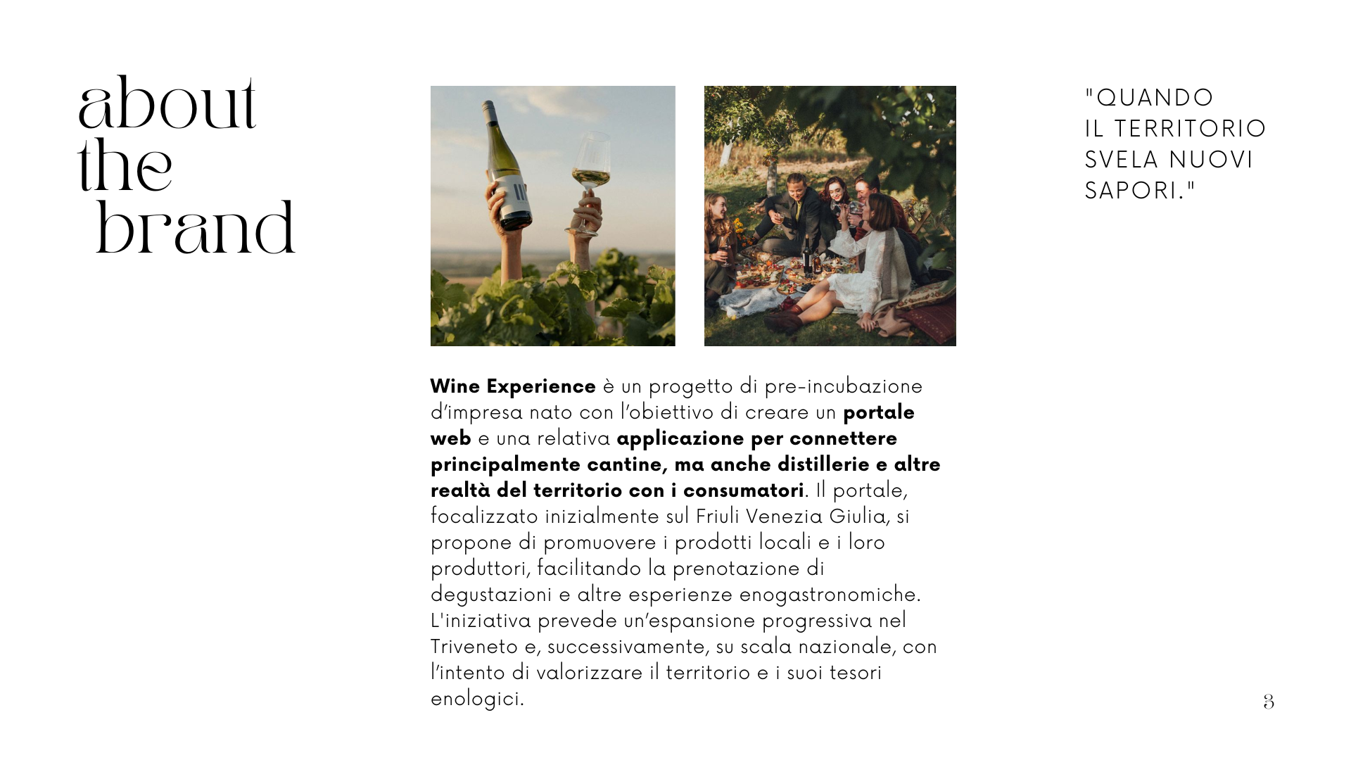 vino experience